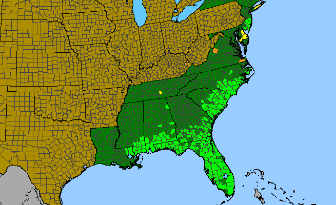 The range of Lachnanthes caroliniana